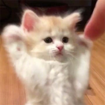 Avatar da jogadora Juliana